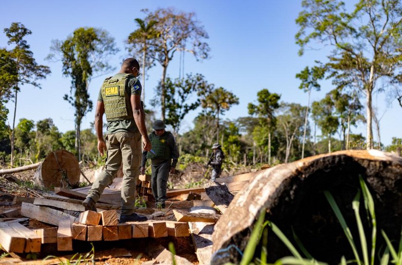 Período proibitivo para exploração do manejo florestal sustentável em MT segue até 1º de abril