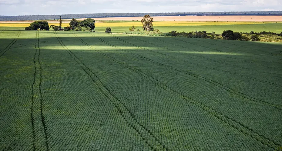 Senado aprova plano para fabricação de fertilizantes no Brasil