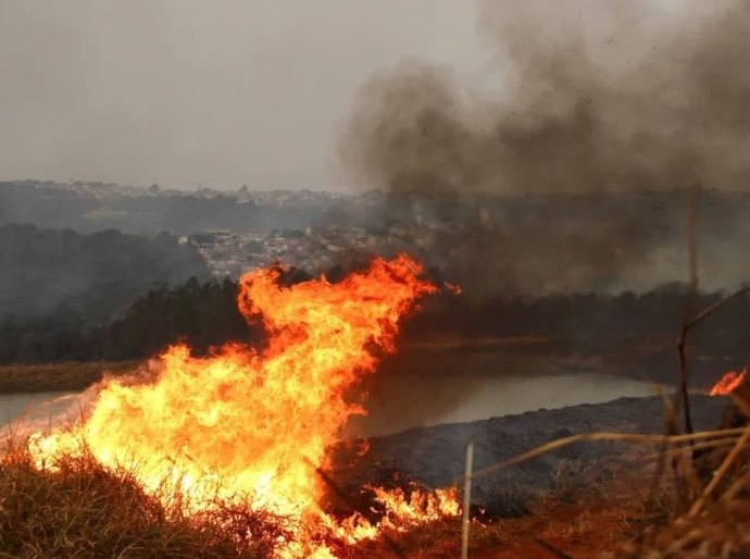 Polícia Federal vai investigar causas de incêndios em São Paulo