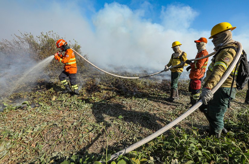 Corpo de Bombeiros extingue sete incêndios florestais e combate outros 45 neste domingo,08