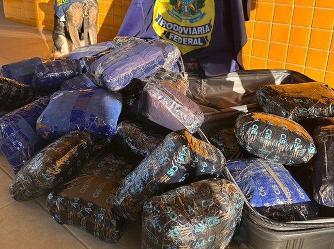 PRF apreende 50 tabletes de skunk durante fiscalização na BR-364 em MT
