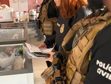 Polícia Civil deflagra operação para combater comércio ilegal na Feira do Porto e apreende três toneladas de pescado