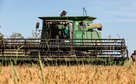 Mato Grosso lidera produção nacional de arroz de sequeiro, aponta Anuário Brasileiro do Arroz 2025