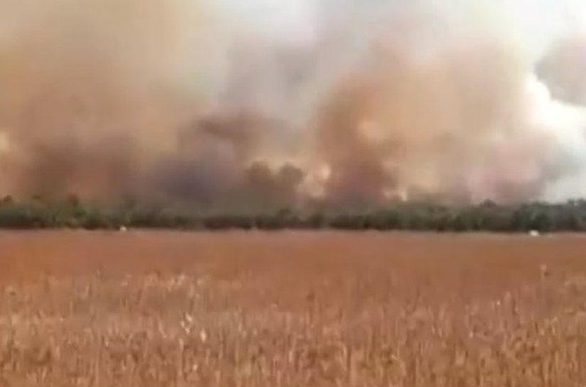 Aumenta em 80% os focos de queimada em Mato Grosso