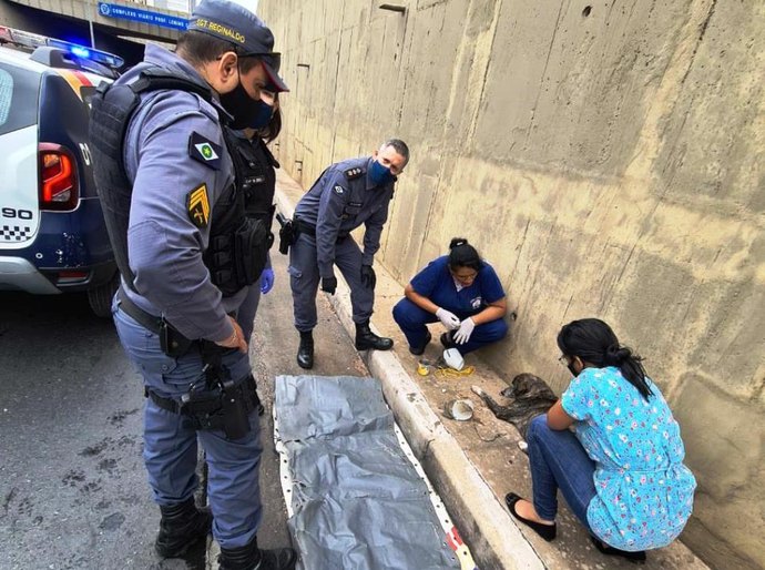 Policiais Militares resgatam cadela arremessada na trincheira do Santa Rosa