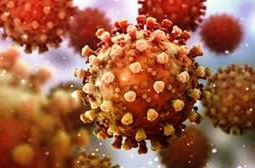 Mato Grosso registra nesta terça feira, 6.877 casos e 250 mortes pelo Covid-19