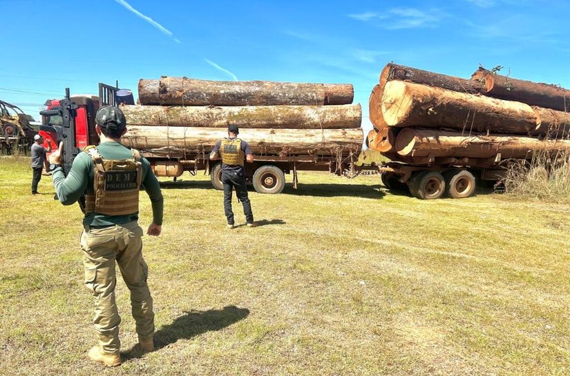 Polícia Civil apreende caminhões carregados de madeira em mais uma fase de operação contra desmatamento em Juína