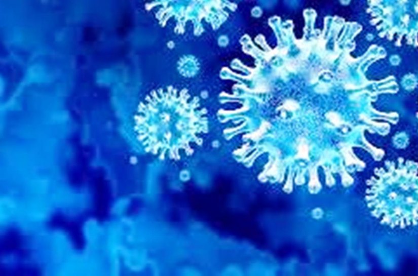 Brasil tem 185.827 mil mortes e 7.172.165 milhões de casos de Covid-19 desde o início da pandemia