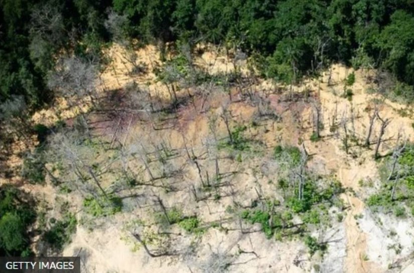 Brasil ignorou decisão de corte internacional sobre os yanomami desde julho