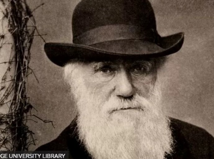 A visão de Charles Darwin sobre os escravizados no Brasil: 'Serão, no fim das contas, os governantes'