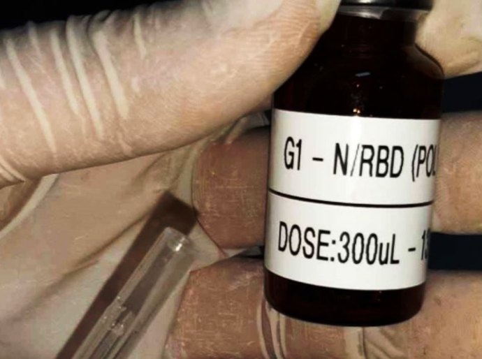 Covid-19: primeiros testes de vacina brasileira terão 400 voluntários