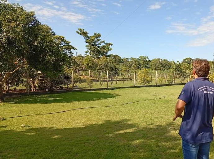 Mapa confirma caso de gripe aviária em Acorizal; equipes do Indea atuam para conter foco