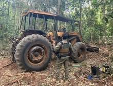 Operação Escudo Verde combate extração ilegal de madeira no norte de Mato Grosso