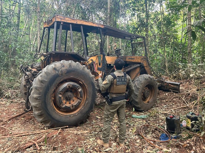 Operação Escudo Verde combate extração ilegal de madeira no norte de Mato Grosso