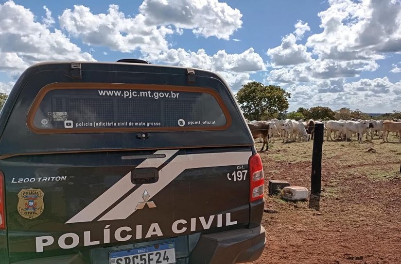 Polícia Civil recupera cabeças de gado de produtor rural em Nova Xavantina