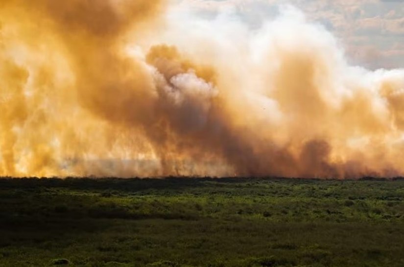 Pantanal: incêndios disparam mais de 1000% e bacia do rio Paraguai tem seca recorde