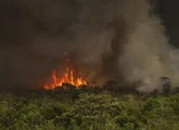 Queimadas fazem desmatamento crescer 92% na Amazônia em maio