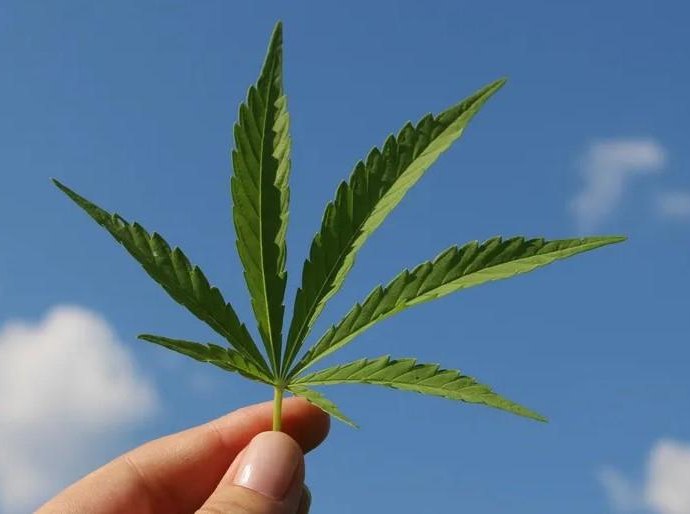 STF tem placar de 5 a 1 para liberar porte de maconha; Mendonça pede vista