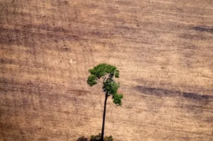 'PL da devastação' ou medida para 'destravar' obras? Entenda vetos de Lula e por que disputa sobre PL ambiental não acabou