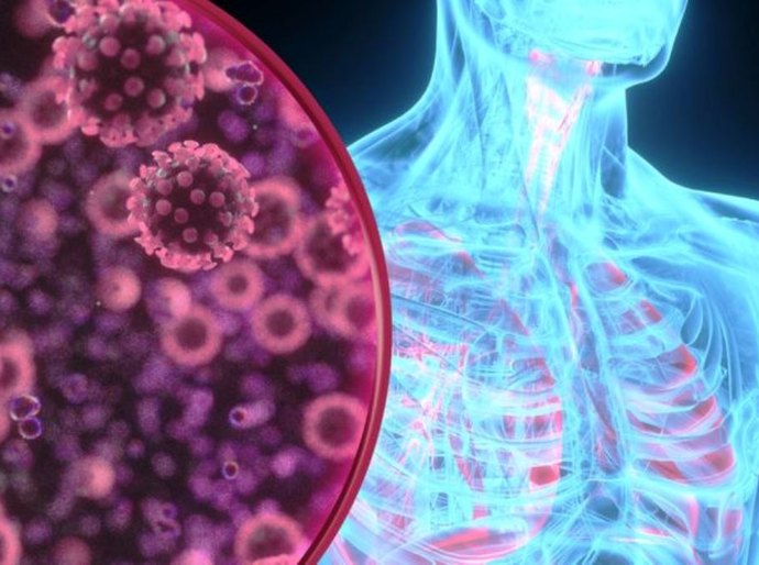 Coração, cérebro, pulmão: como a covid-19 afeta nossos órgãos vitais