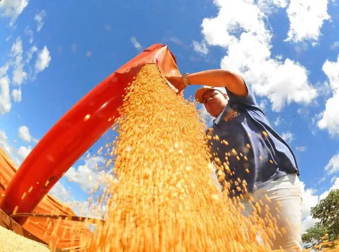 Produção de grãos pode chegar a 353,4 milhões de toneladas