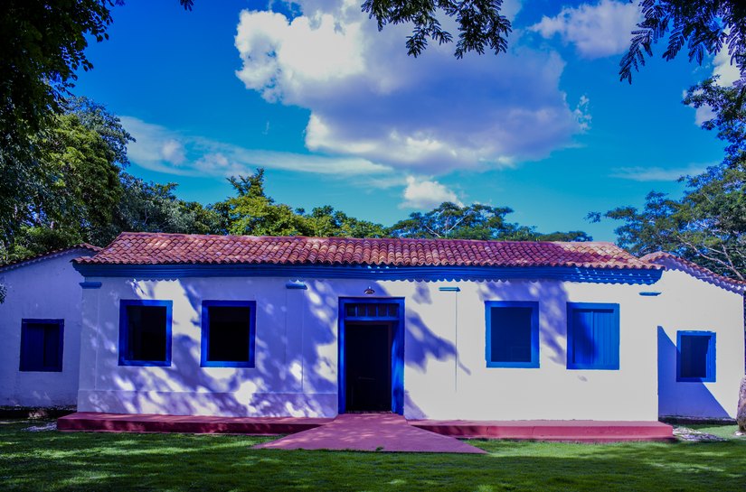 Museu de História Natural oferece curso sobre educação e patrimônio cultural