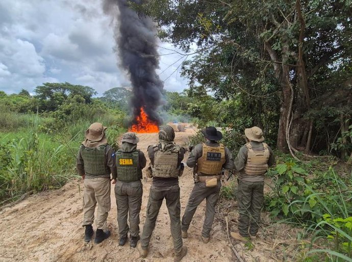 Polícia Civil deflagra Operação Logging e causa prejuízo de R$ 3,5 milhões ao crime ambiental em Mato Grosso