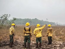 Dino estabelece orçamento de emergência para combate a incêndios