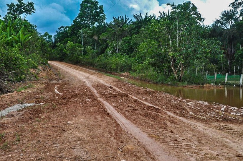 Ambientalistas denunciam desmatamento às margens de rodovia amazônica