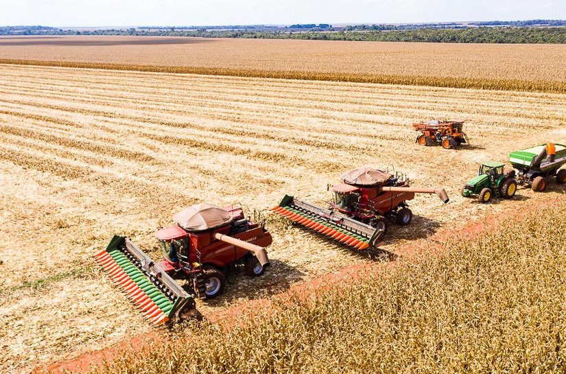 Mato Grosso inicia colheita de milho com produção estimada em 50,3 milhões de toneladas
