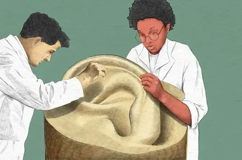 O que a cera do ouvido pode revelar sobre sua saúde