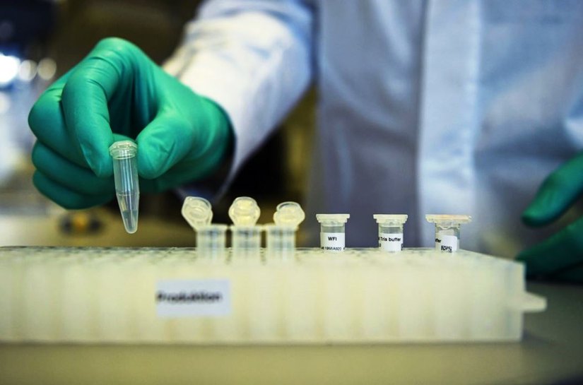 Covid-19: Brasil tem 1,96 milhão de casos e 75,3 mil mortes