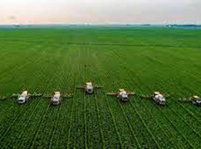 Preço das commodities agrícolas tem ‘boom’ em 2022, aponta Ipea