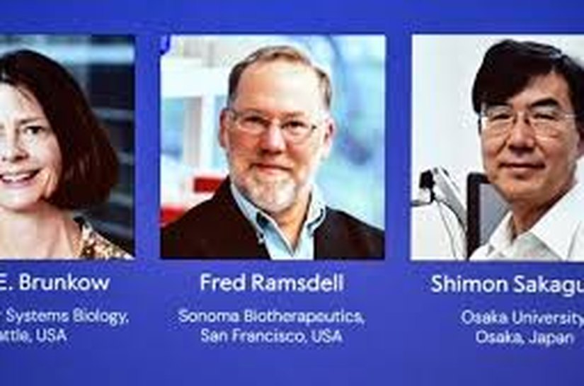 Nobel de Medicina 2025 vai para Mary E. Brunkow, Fred Ramsdell e Shimon Sakaguchi pelas descobertas sobre a tolerância imune periférica