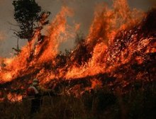 Os 2,8 mil candidatos multados por danos ao meio ambiente