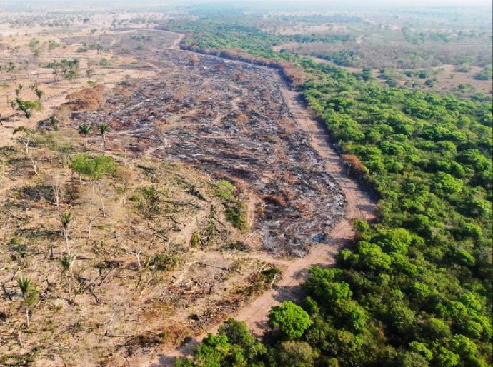 Operação Resiliência Pantanal apreende 5 tratores usados em desmatamento e evita queimadas