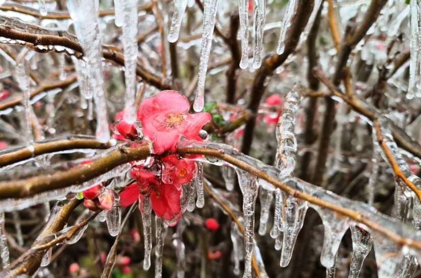 Com -7,5°C, SC registra a menor temperatura do Brasil em 2021, diz Inmet
