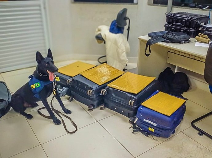 PRF apreende mais de 21 kg de cocaína em três ocorrências durante fiscalizações na BR-364 em Mato Grosso