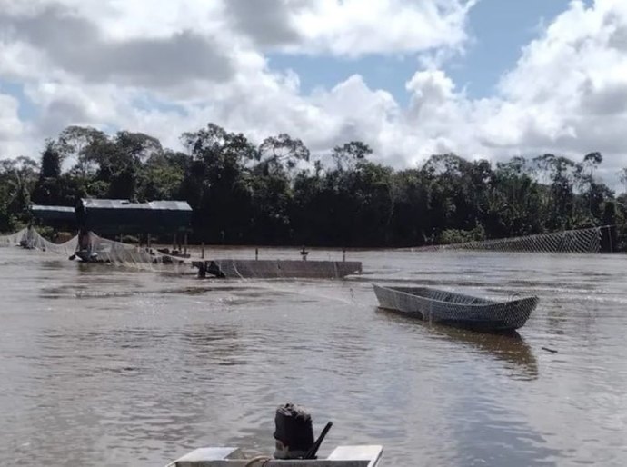 Garimpeiros armados atacam base do Ibama na Terra Yanomami e invasor é baleado