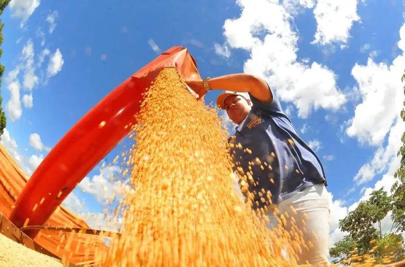Produção de grãos pode chegar a 353,4 milhões de toneladas