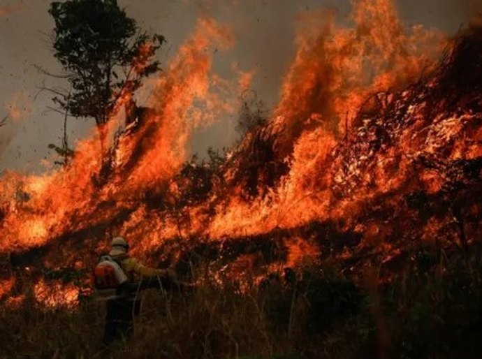 Os 2,8 mil candidatos multados por danos ao meio ambiente