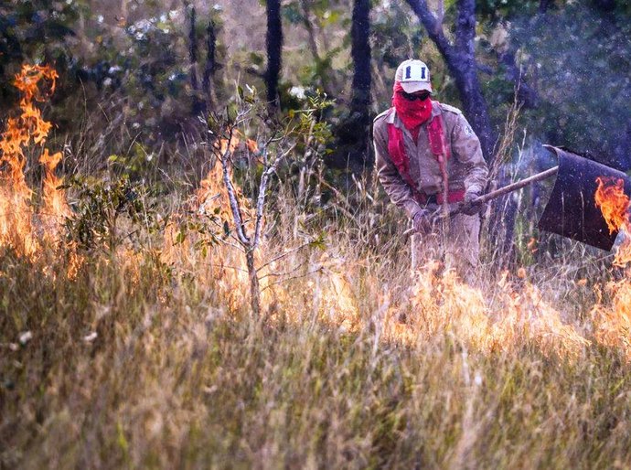 Governo de Mato Grosso lança Operação Abafa Amazônia contra crimes ambientais