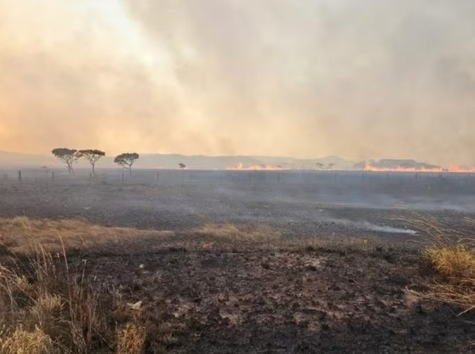 Incêndio destrói cerca de 10 mil hectares na Chapada dos Veadeiros; aviões ajudam no combate às chamas