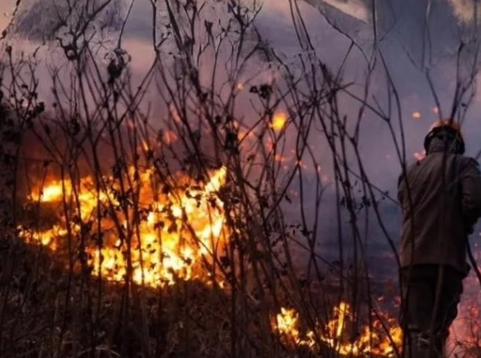 Governo prepara pacote ambiental contra queimadas para apresentar à ONU