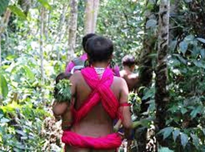 Garimpeiros exigem sexo com meninas e mulheres Yanomami em troca de comida, aponta relatório