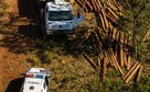Polícia Militar prende dois homens suspeitos por extração ilegal de madeira em Campinápolis,MT