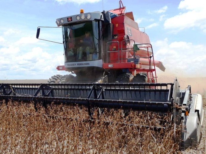 Apetite chinês faz exportação de soja em MT crescer 33% e impulsa agronegócio