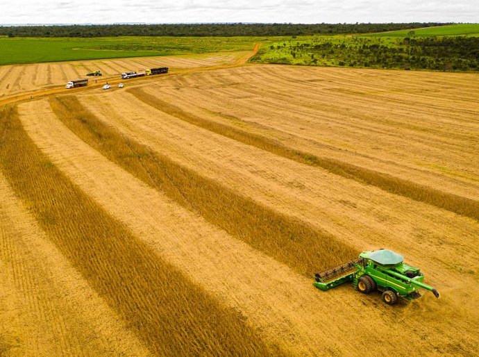 Mato Grosso consolida safra 25/26 com produção recorde e mantém liderança na soja há 26 safras