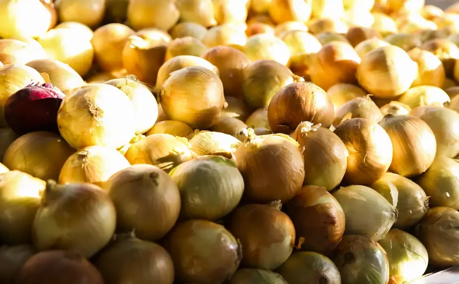 Inflação acumulada dos alimentos é a menor desde setembro de 2024