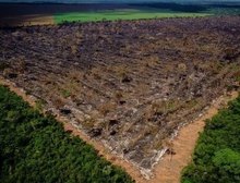 Como 'anistiaço' do MP e governo de MT livrou fazendeiros de pagar indenizações por desmatamento